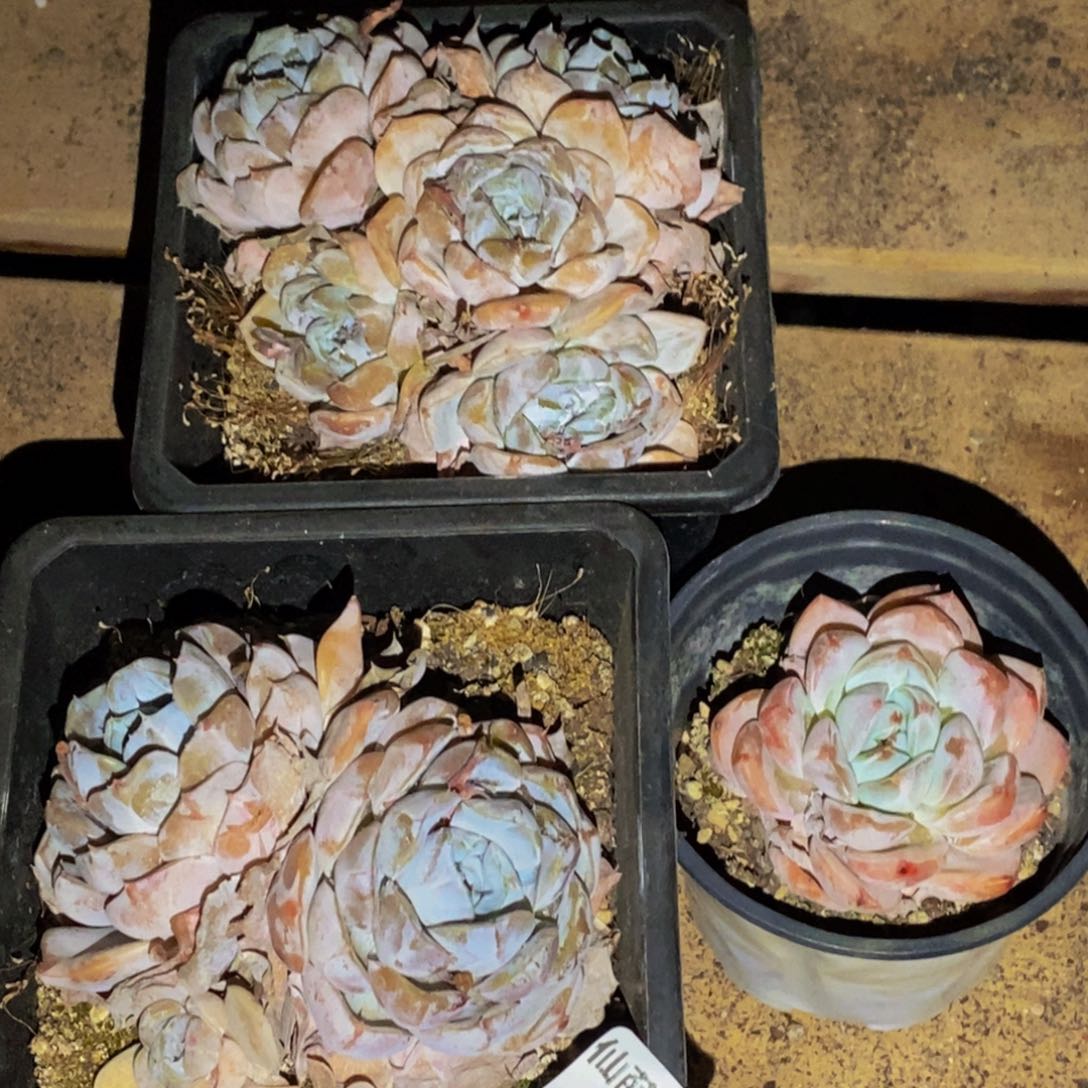 567的人在一起的时候就会觉得自己