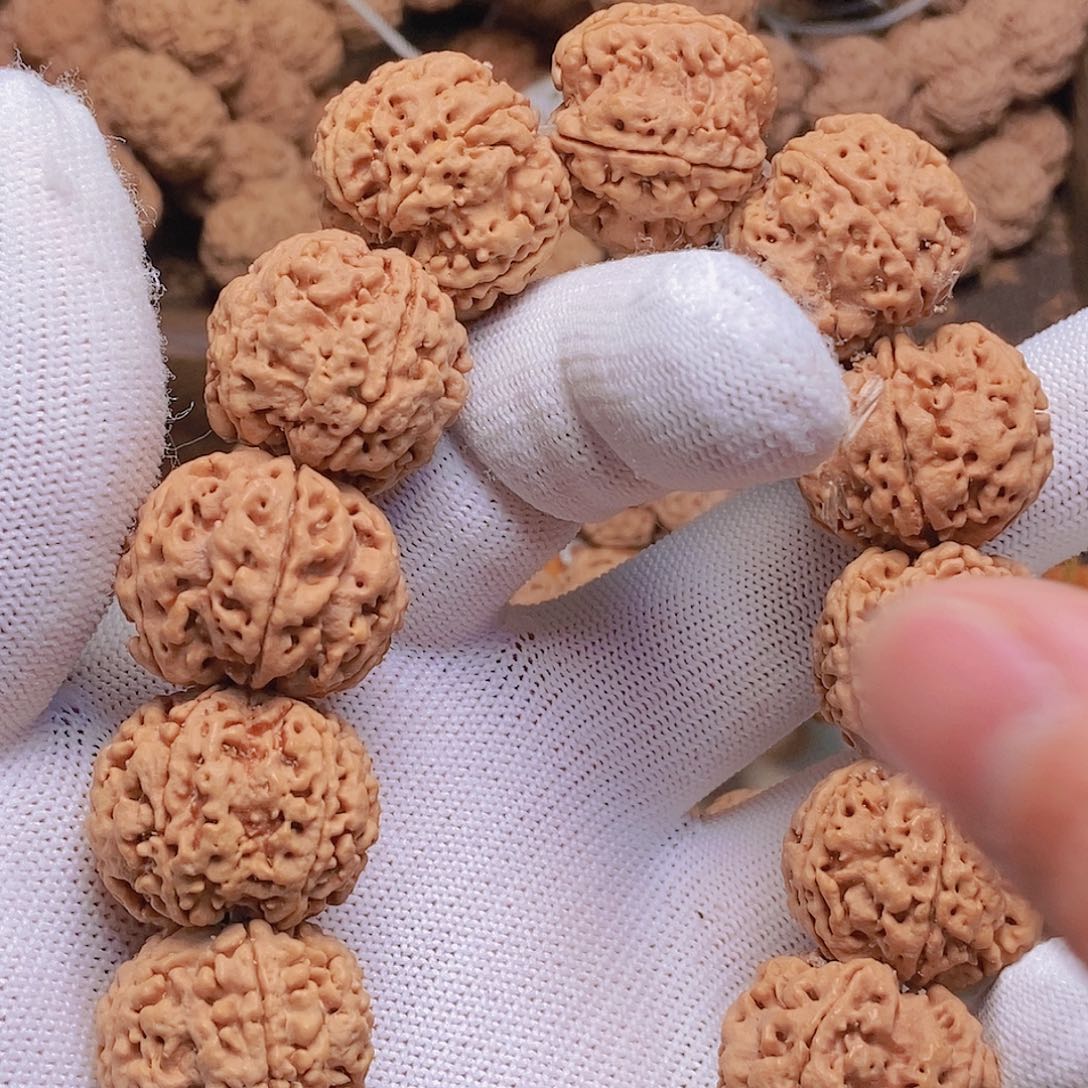 金刚菩提把件5瓣23粗筋双龙