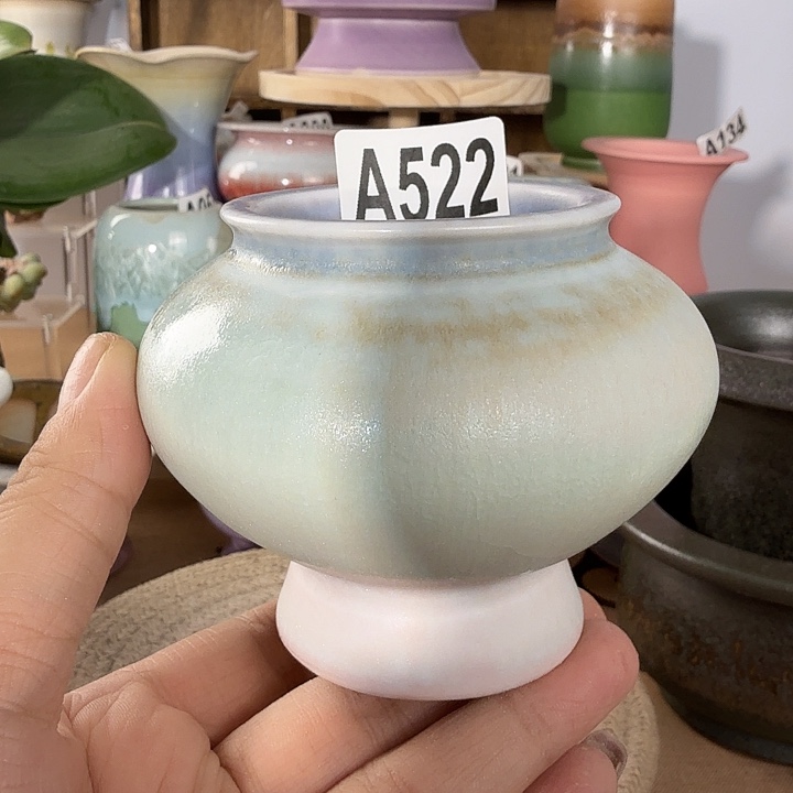 满28包邮当天凑够口5高7