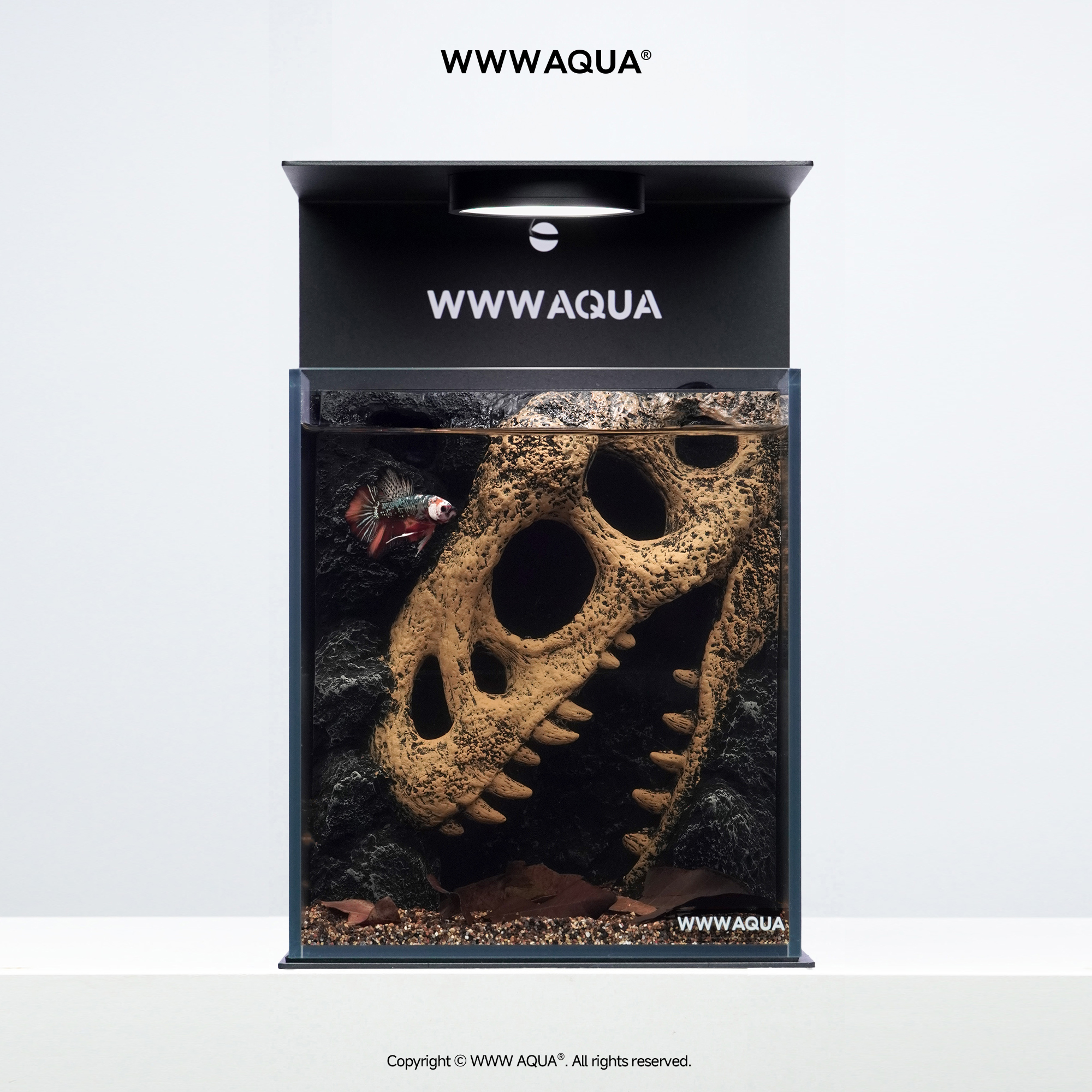 WWWAQUA古化石系列霸王龙微景观造景斗鱼超白玻璃家居桌面小鱼缸