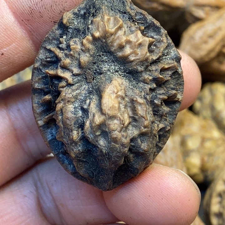 吊坠文玩核桃娜姐144