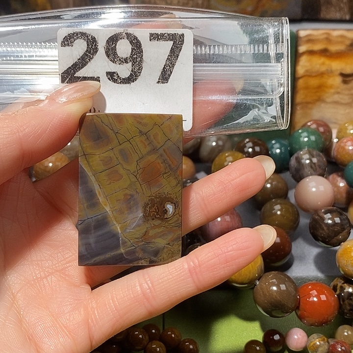 硅化玉未镶嵌天然北票树化玉吊坠