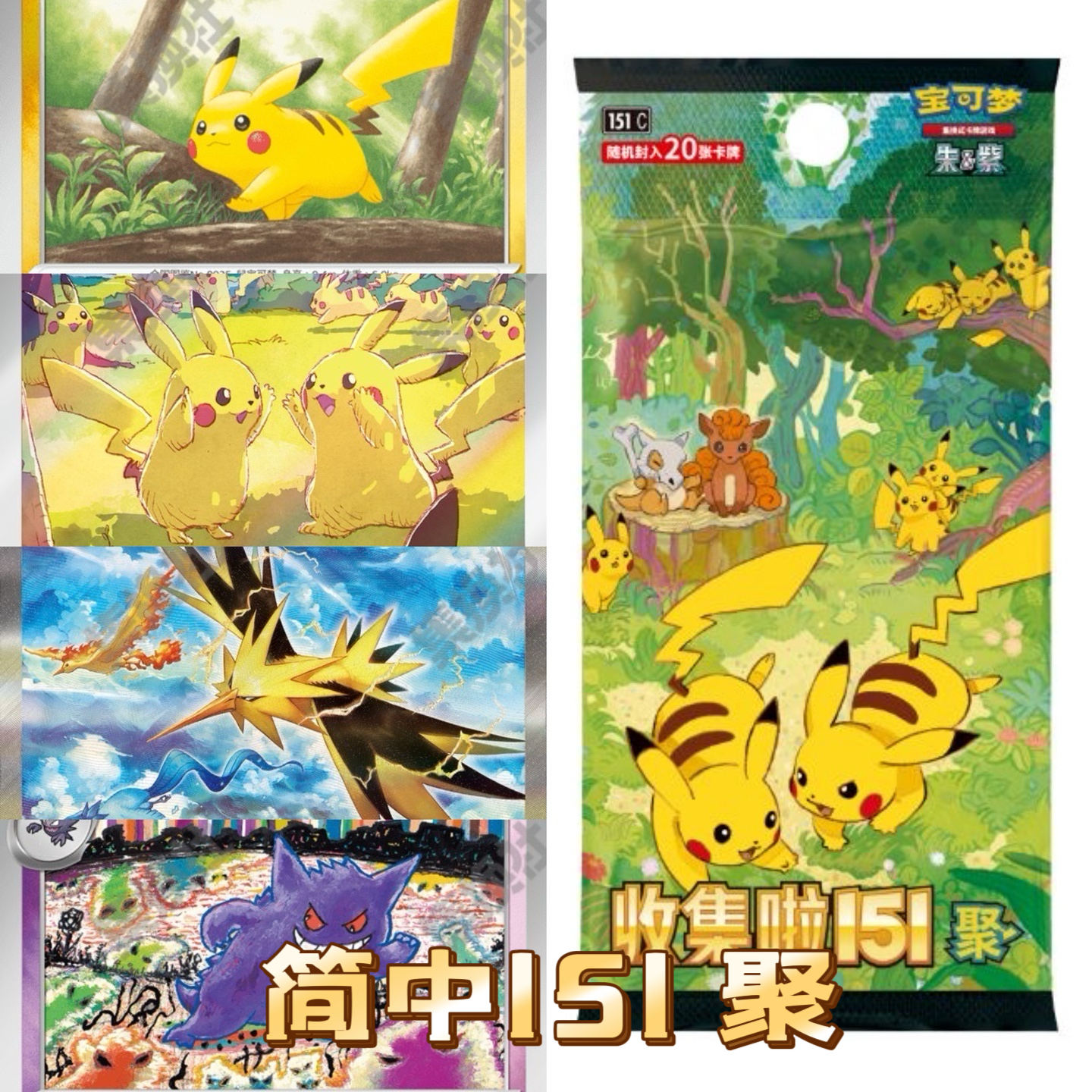 简中收集啦151第四弹 聚丨皮卡丘 闪电鸟 耿鬼丨收藏卡牌代拆