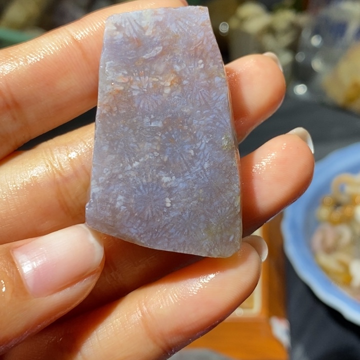 【闪购商品】未镶嵌珊瑚玉硅化玉