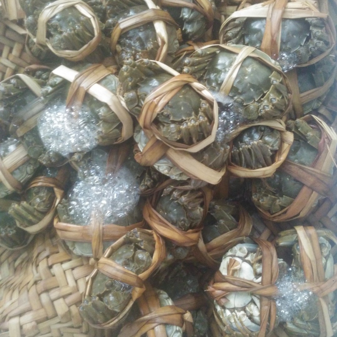 活蟹兴化大闸蟹（母蟹4两/只）