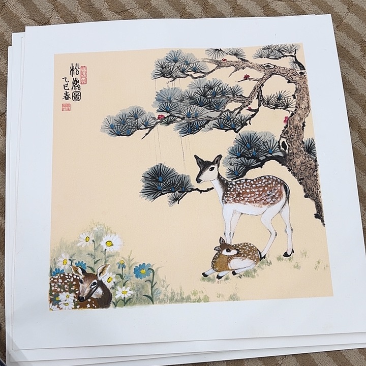 国画花鸟的翅膀和翅膀50.50