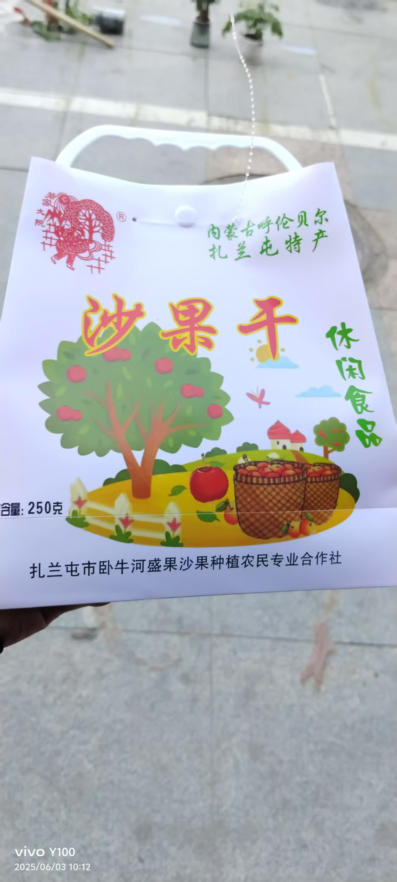 内蒙古扎兰屯特产蜜饯沙果干小包装礼品装