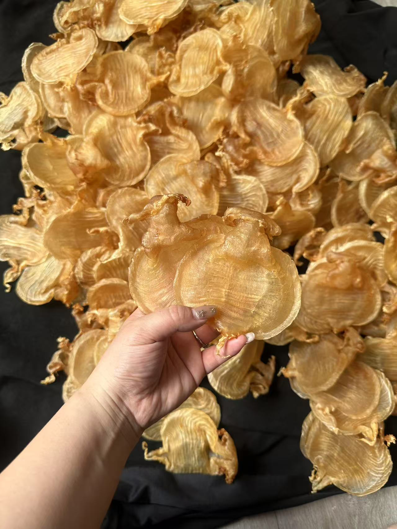 广东潮汕 石肚赤嘴鱼鳔