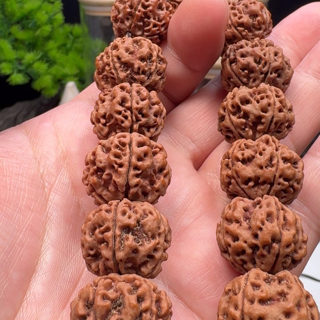 金刚菩提手串蜂窝双龙