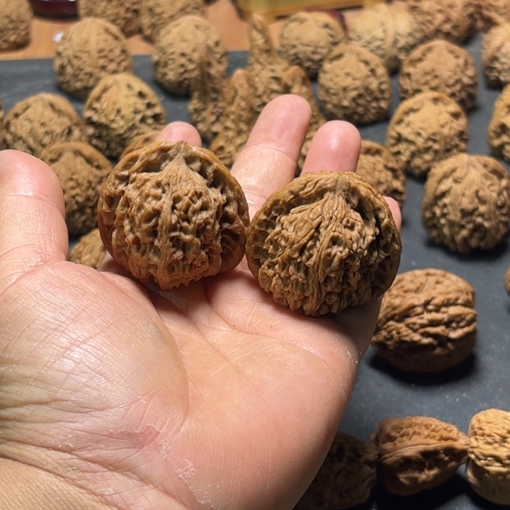 容****大叶紫檀（黑酸枝木类）