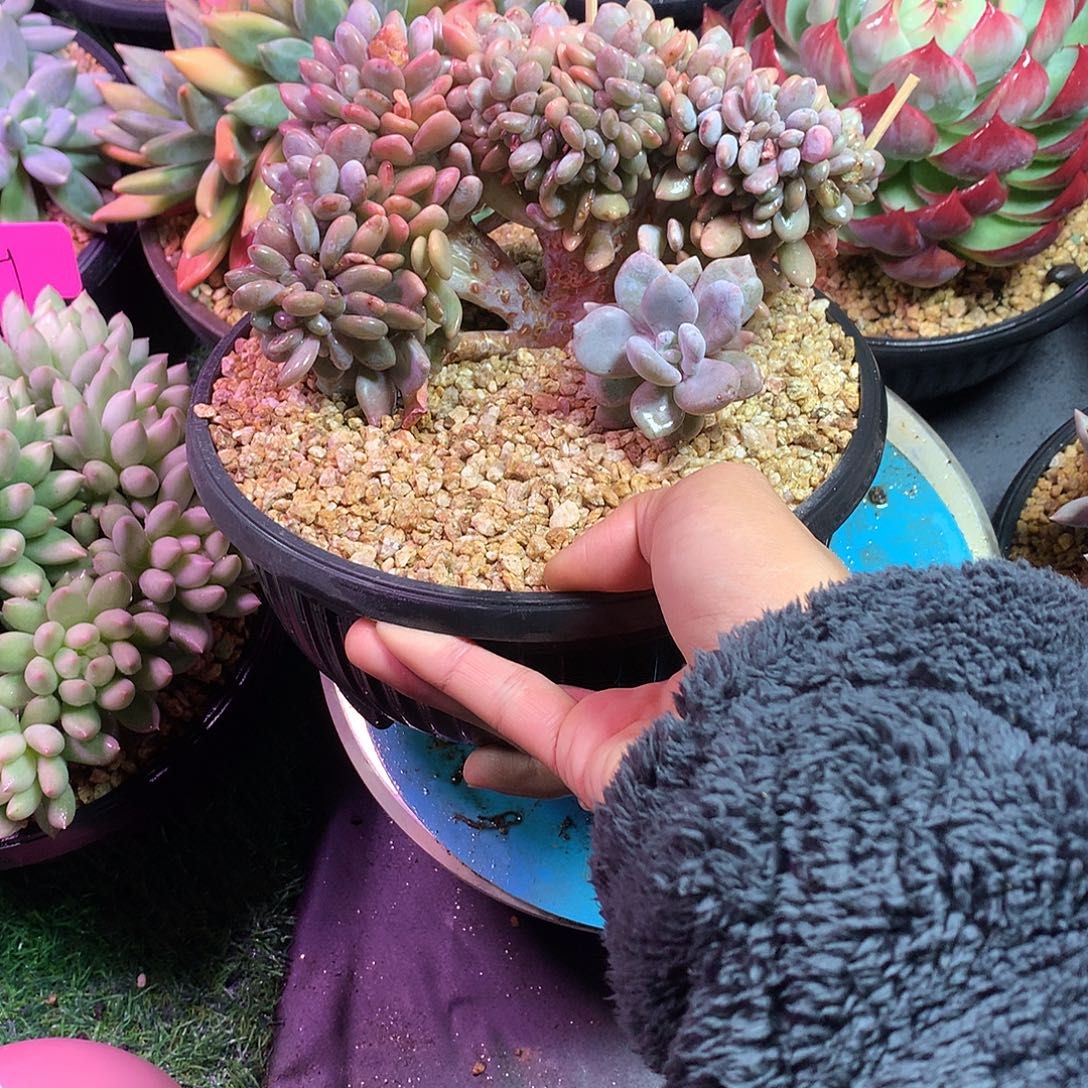 c***蕾哈哈哈哈哈哈哈哈哈哈哈哈