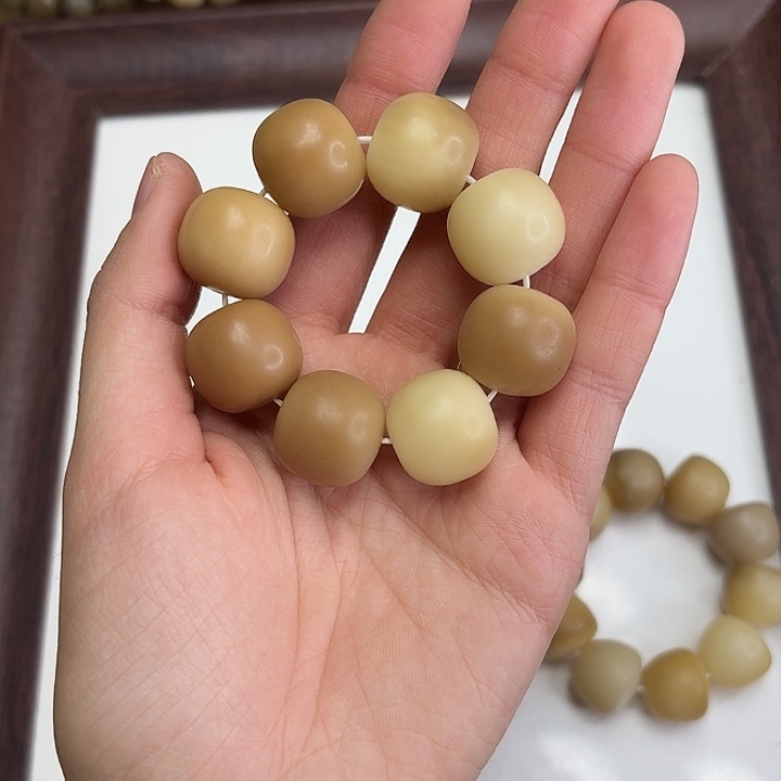 菩提根/象牙果手串卡19干磨缅小料落地果