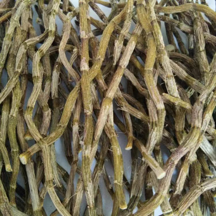 云南山货铁皮石斛