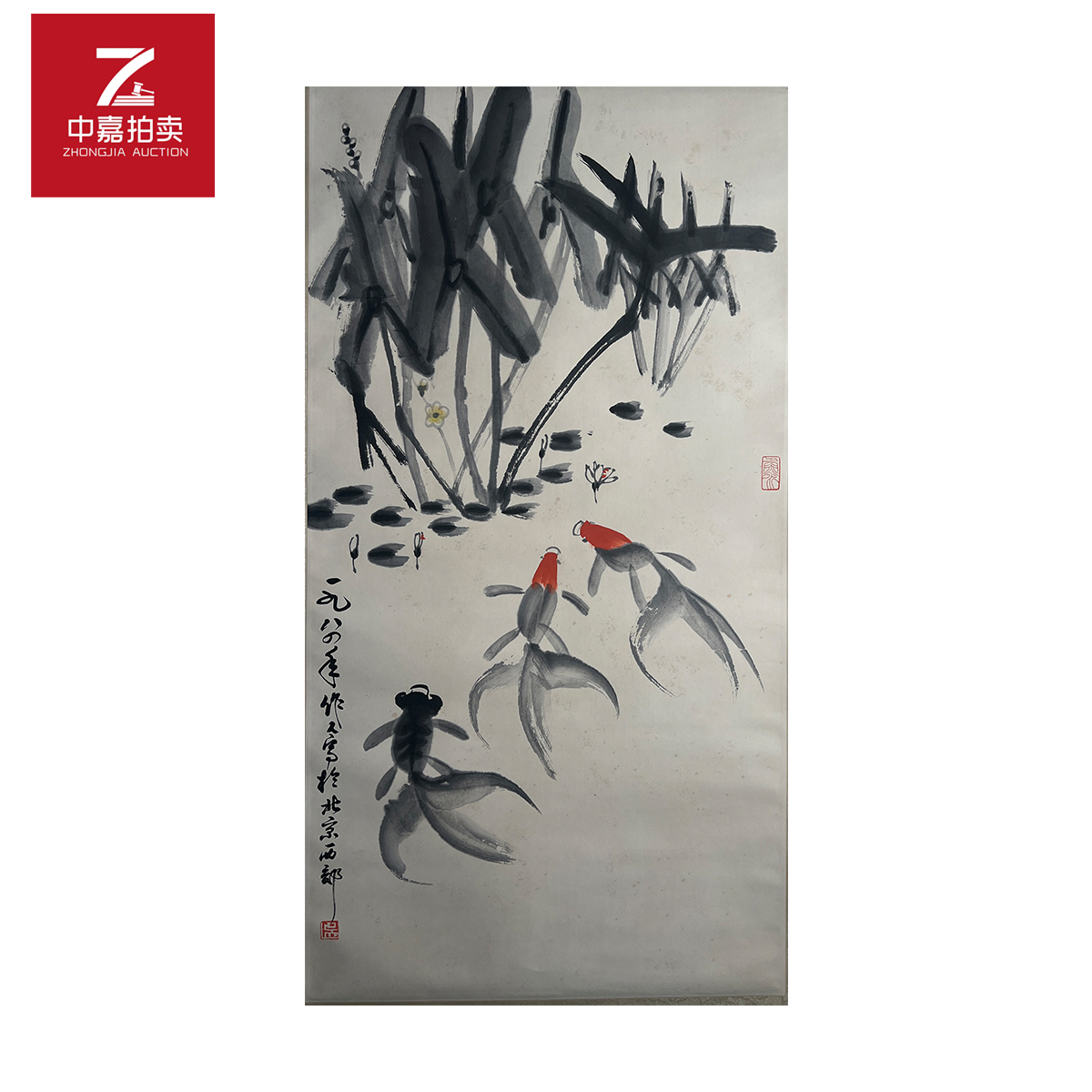 1-WZR绘画立轴金鱼51x97