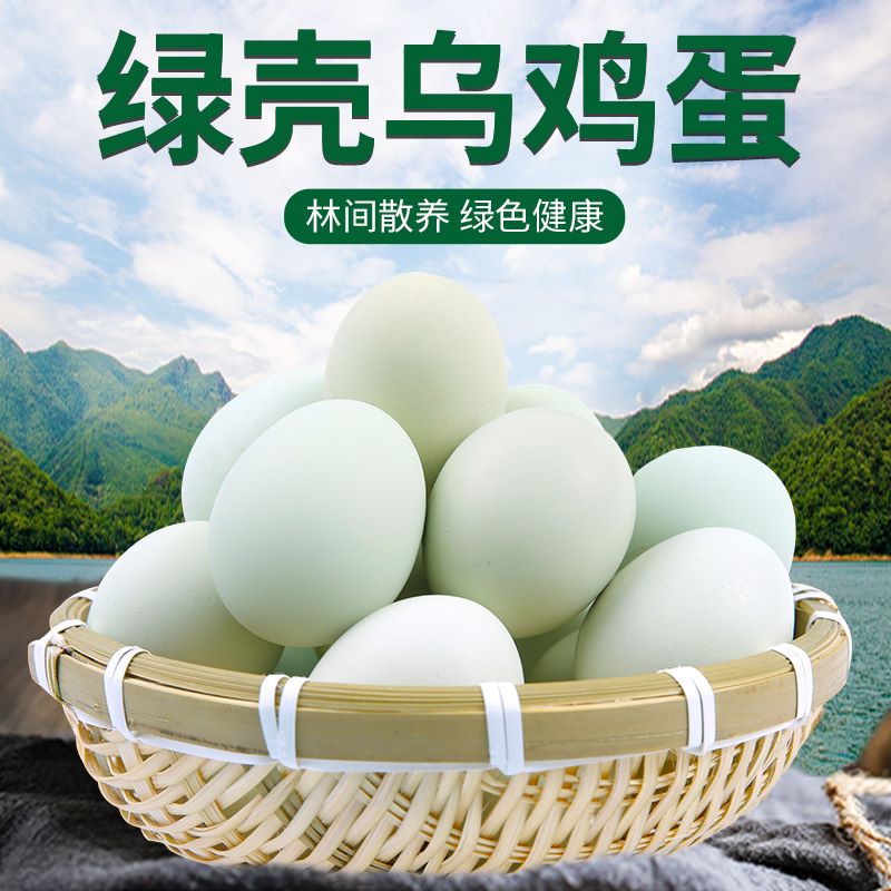 林间散养绿壳乌鸡蛋50枚-高蛋白低胆固醇蛋香浓郁蛋白Q弹 JF