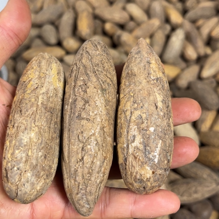 吊坠千眼菩提千眼菩提，63 号。