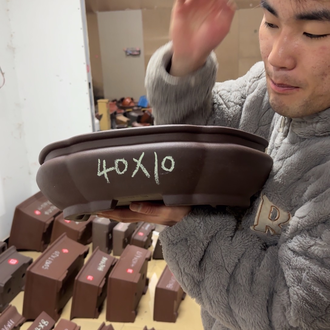 紫砂花盆呜呜呜呜