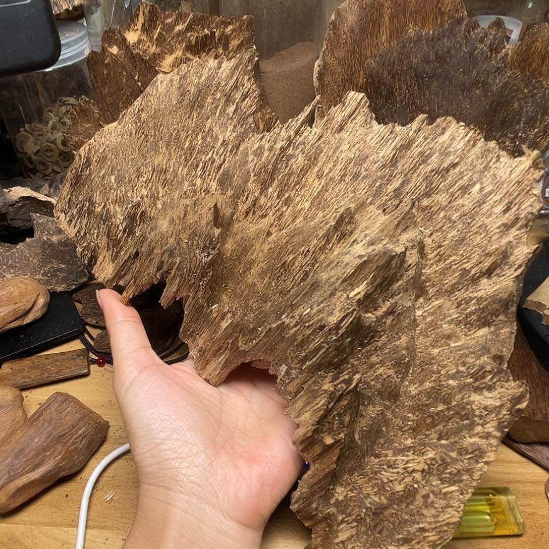 海***盗沉香海南原料摆件196.6克