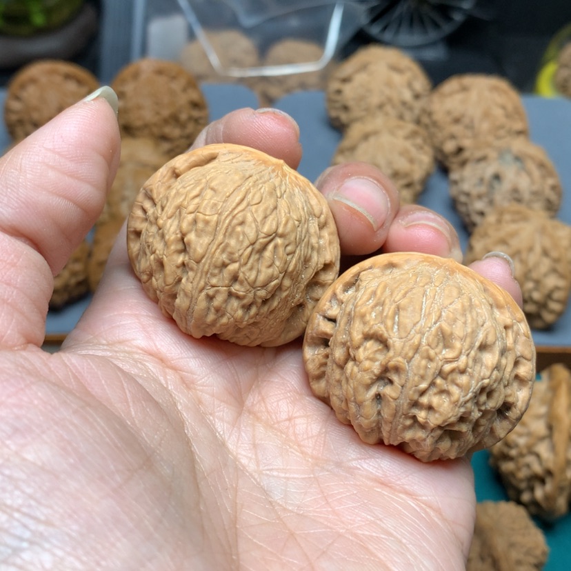 【闪购商品】核桃摆件38泥鳅背编号3838