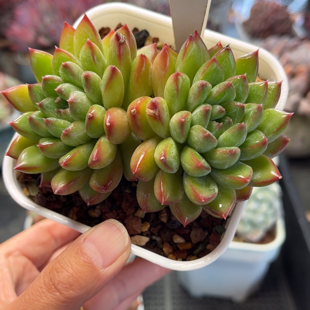 2341 满30包邮天冷地区必拍保温箱