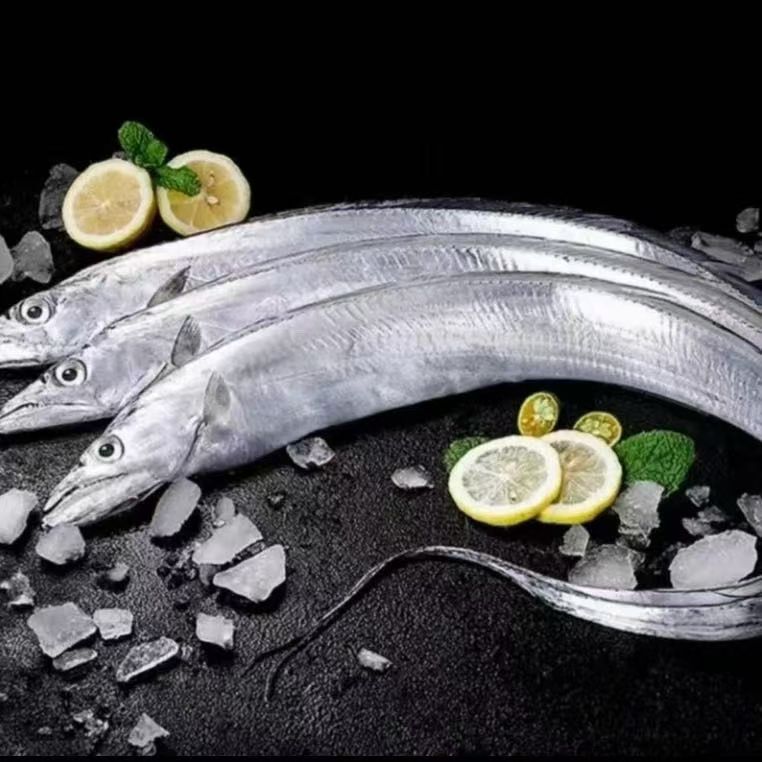 正宗东海带鱼整条新鲜鲜活速冻无冰带鱼野生刀鱼【顺丰包邮】