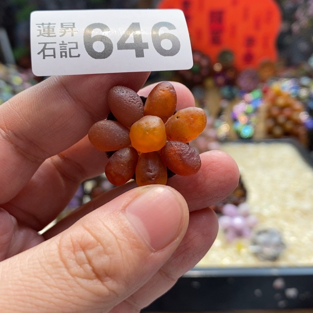 核桃木/黑胡桃（胡桃木）梦**云646