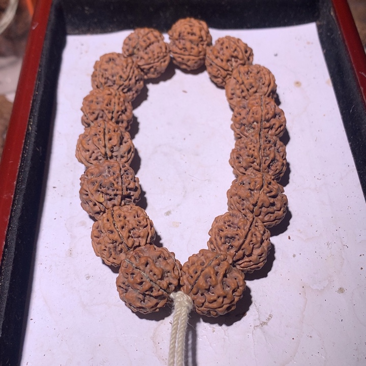 20尺寸原生态大金刚菩提手串