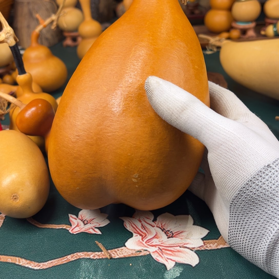 自***人木他在哪里龙你看看hill见龙卸甲