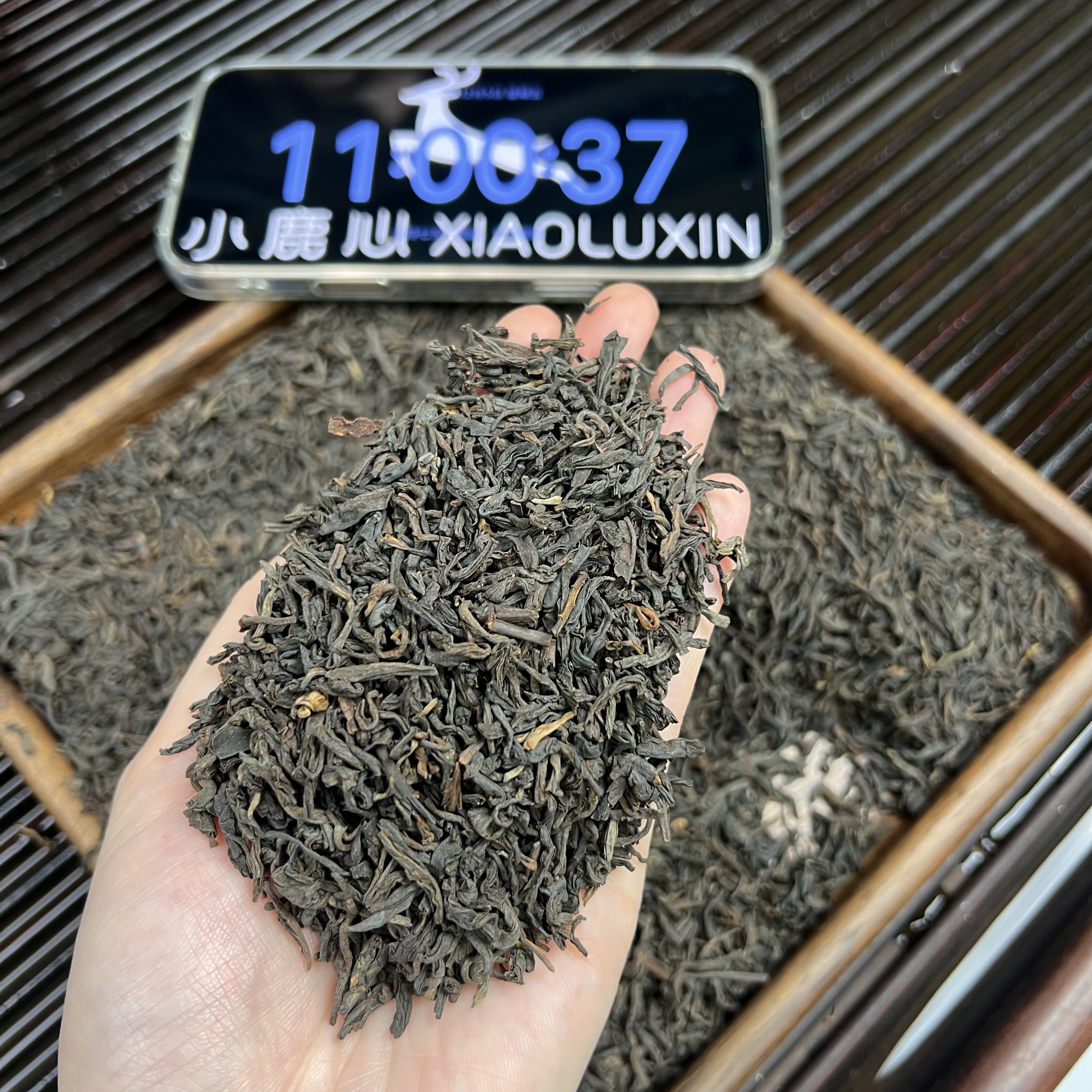 栀子花香六堡茶 小鹿收茶 广西梧州 黑茶  12月5