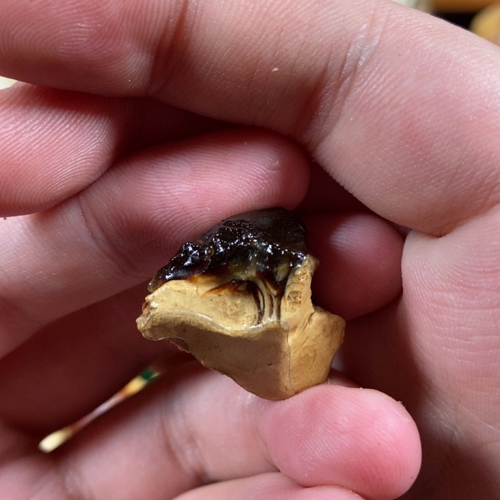 未镶嵌定制琥珀琥珀蜜蜡原石定制