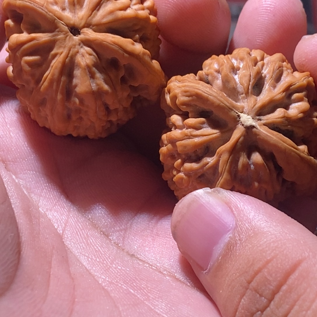 豆***花文玩核桃吊坠35全品蚂蚁王