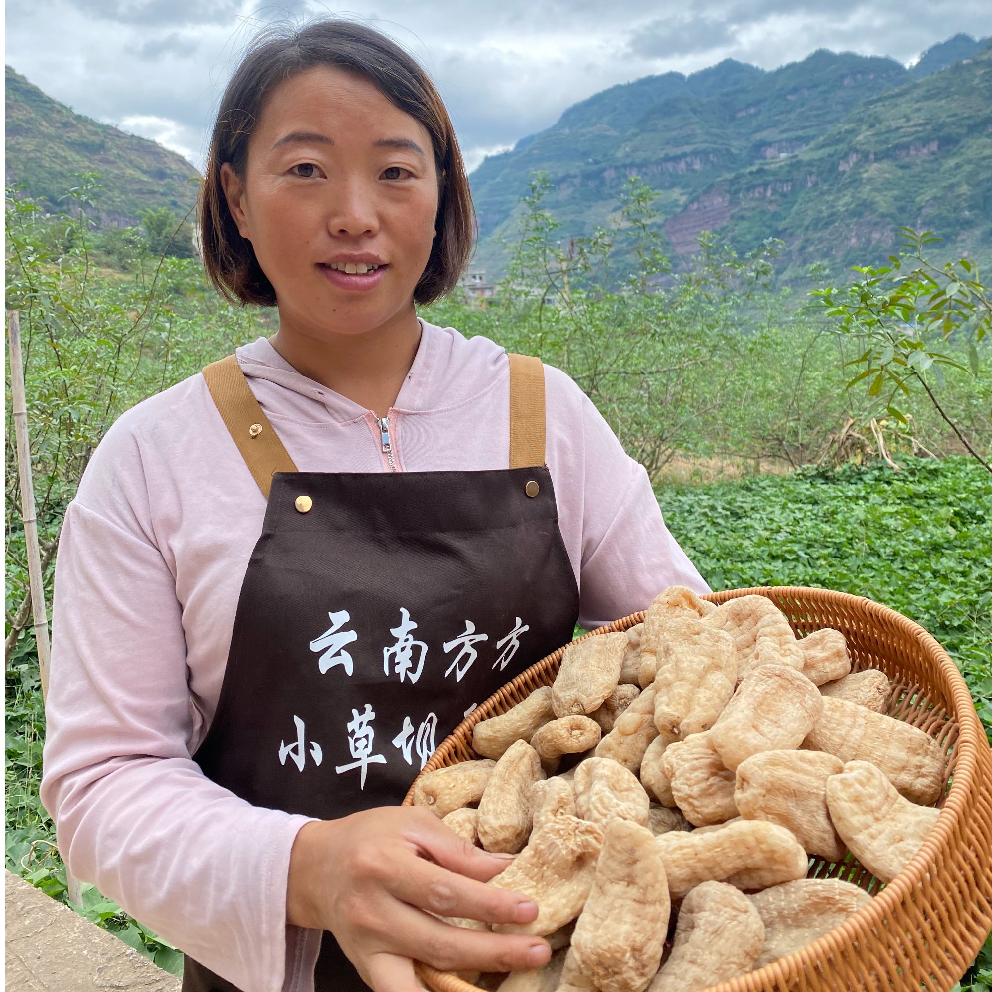 【干天麻】正宗云南昭通彝良小草坝干天麻产地直发农家自制酸苦包退