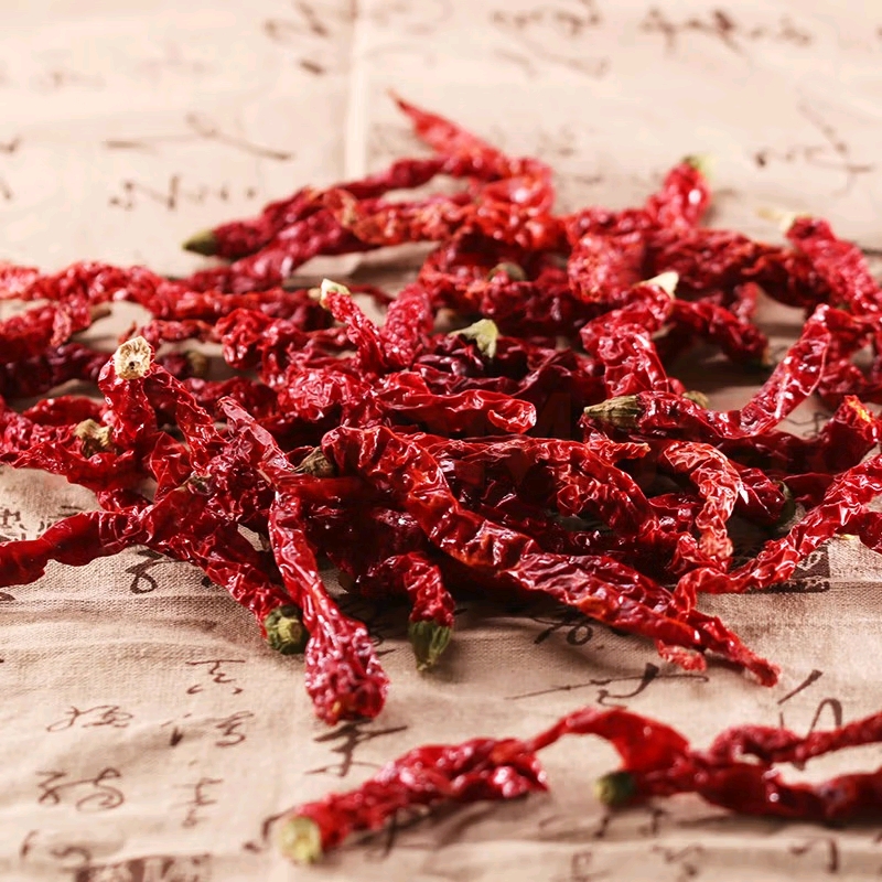 新疆安集海辣子皮线椒