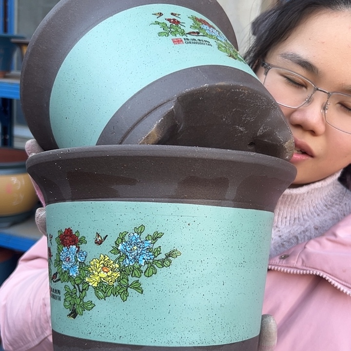 陈波金钟绿小一对花盆花盆