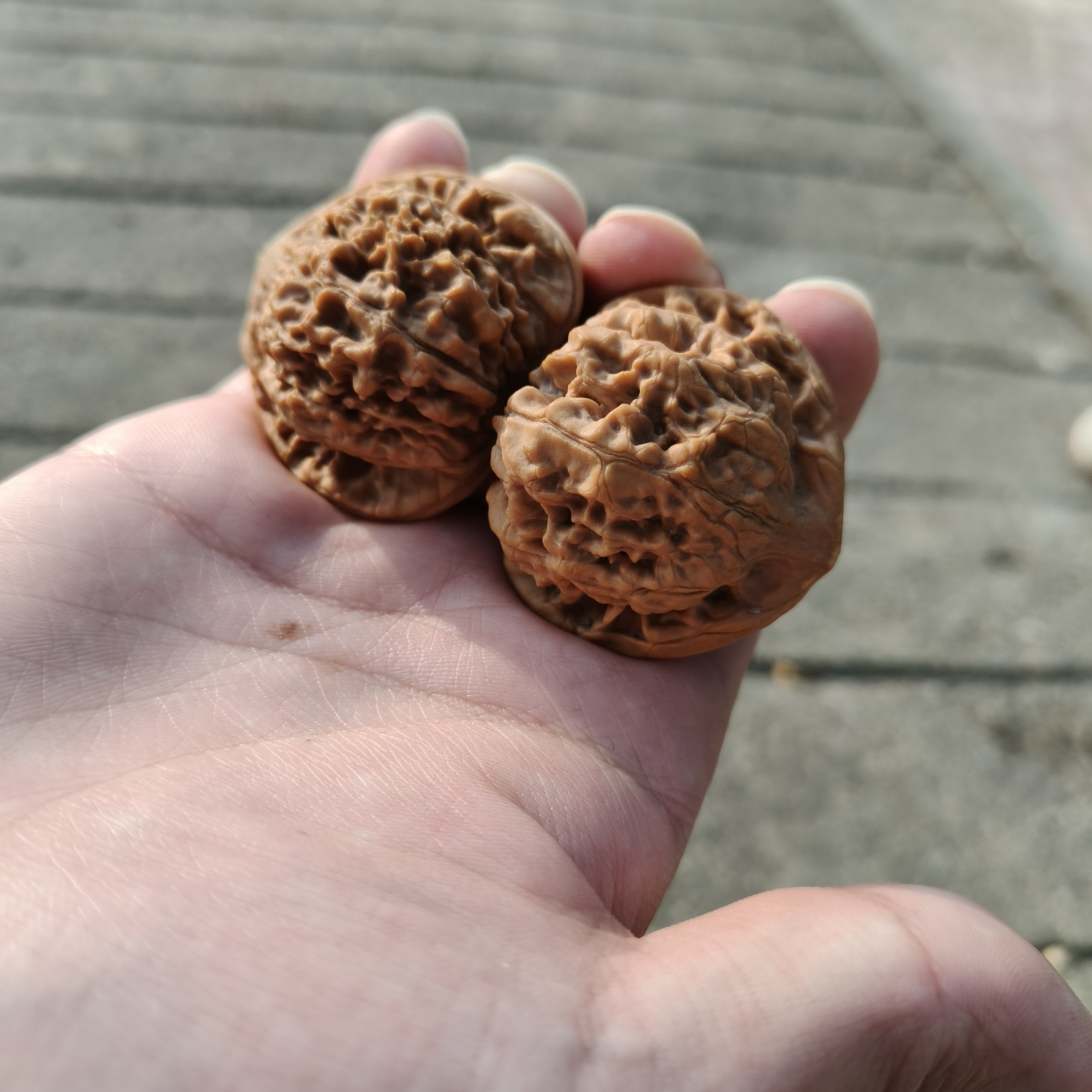 野生文玩核桃麒麟纹/官帽/四座楼/狮子头等手把文玩随机发