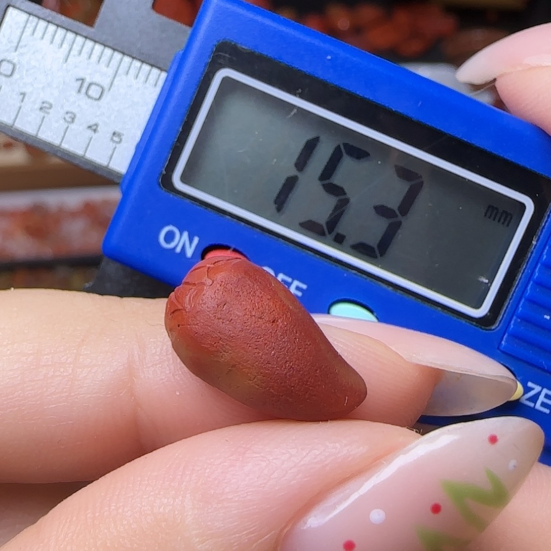 南红玛瑙未镶嵌颈饰