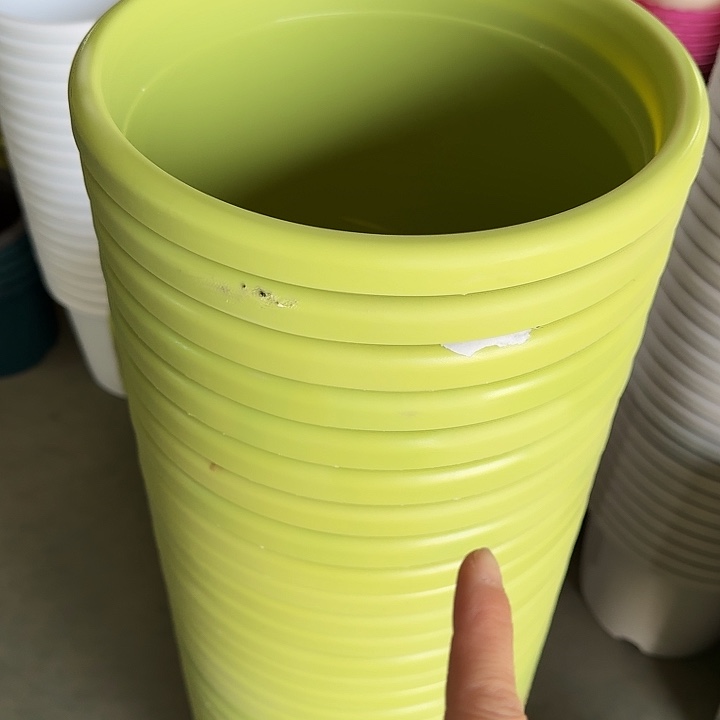 四季5号果绿无托5个磨损的