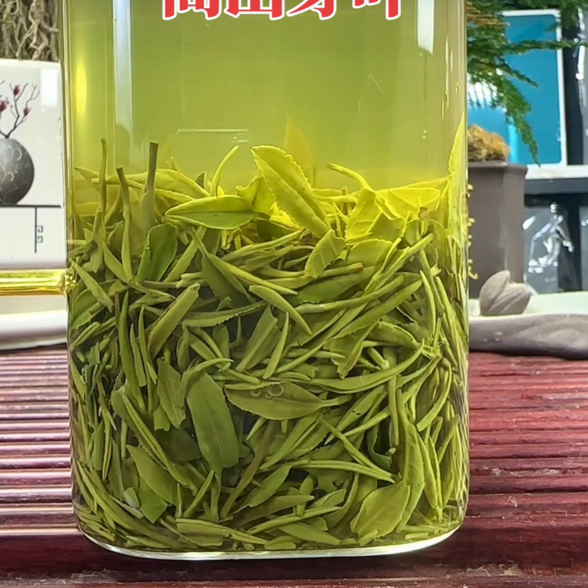 【2025新茶】大山沟•信阳毛尖浉河港郝家冲（纯手工）中芽楼头花香