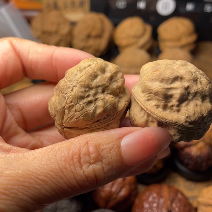 小***景如图所示一物一拍111