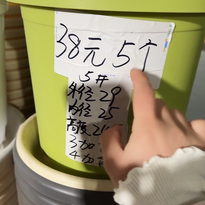 四季5号果绿无托10个特价