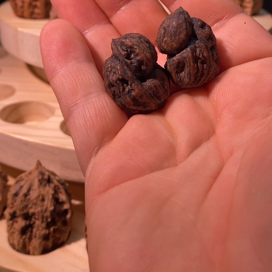 春***雨文玩核桃吊坠秋核尖商定向春雨