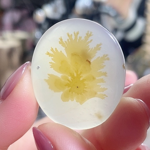 未镶嵌玛瑙/玉髓珠宝奇石