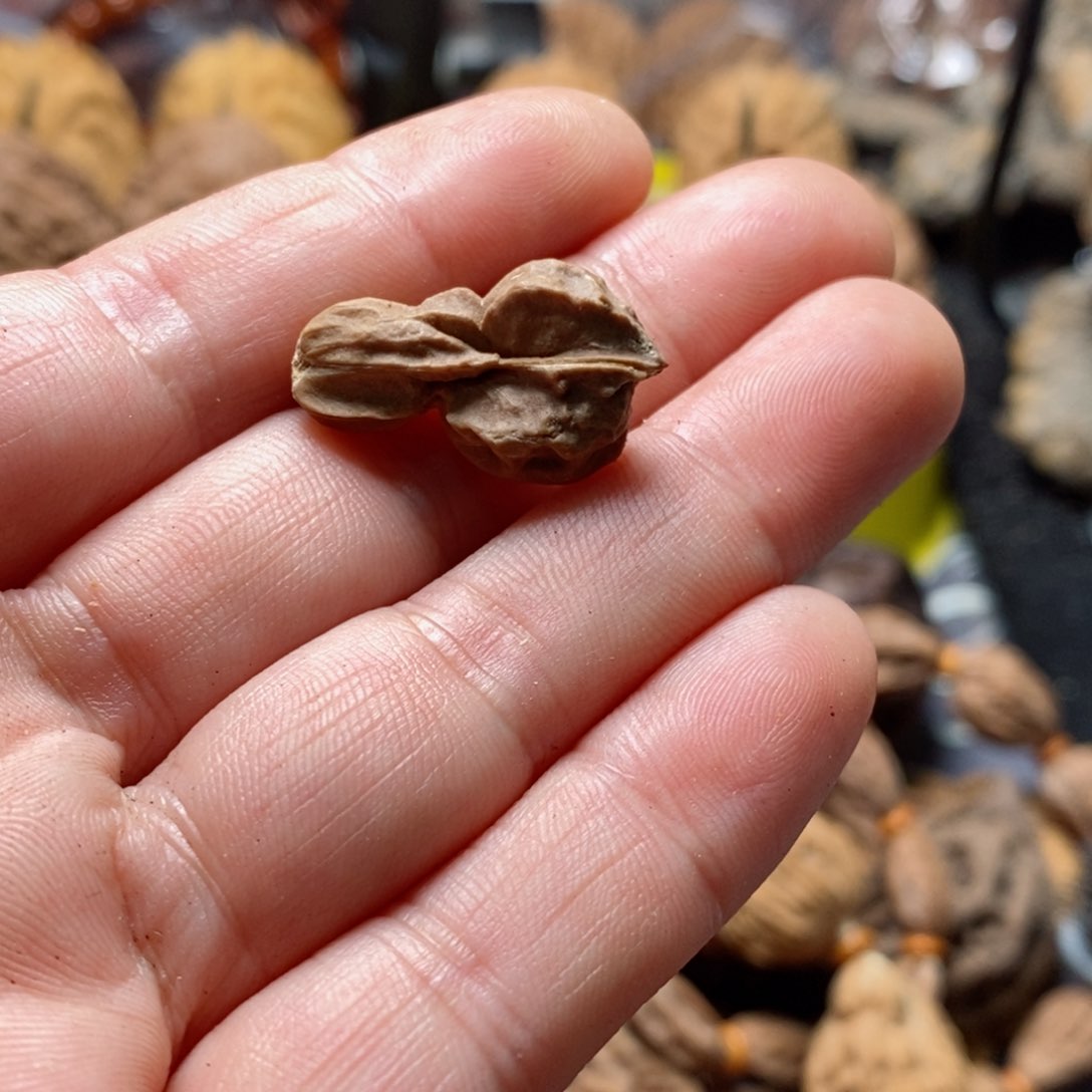 文玩核桃吊坠核桃44