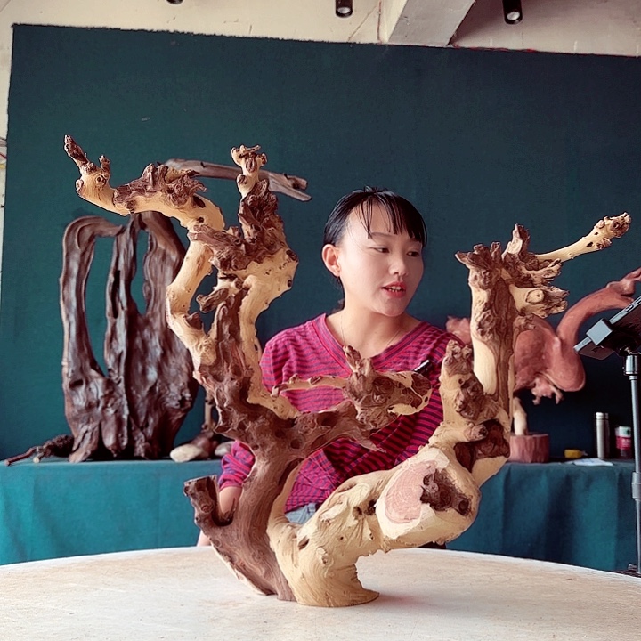 黑果木梁*瑞875金丝红木羊蹄甲半成品