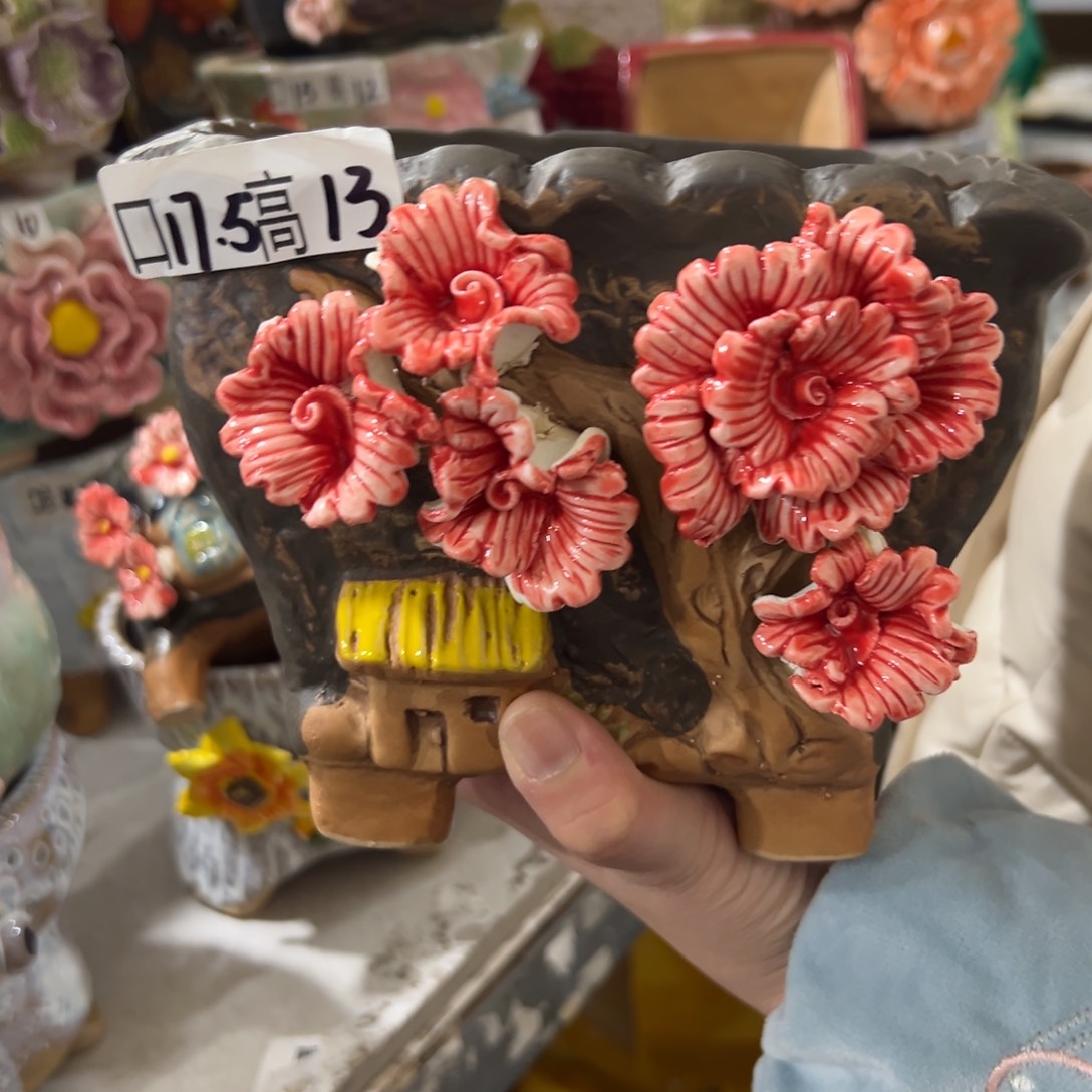 花盆，拍满20发货，退款拉黑