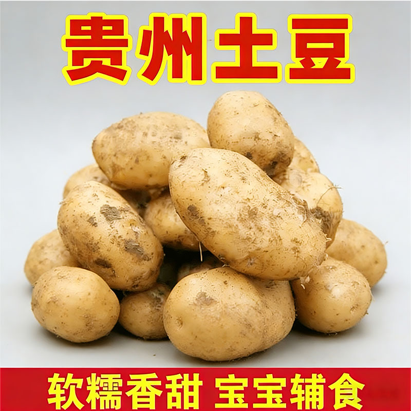 贵州黄皮黄心软糯粉面土豆新鲜现挖蔬菜马铃薯洋芋