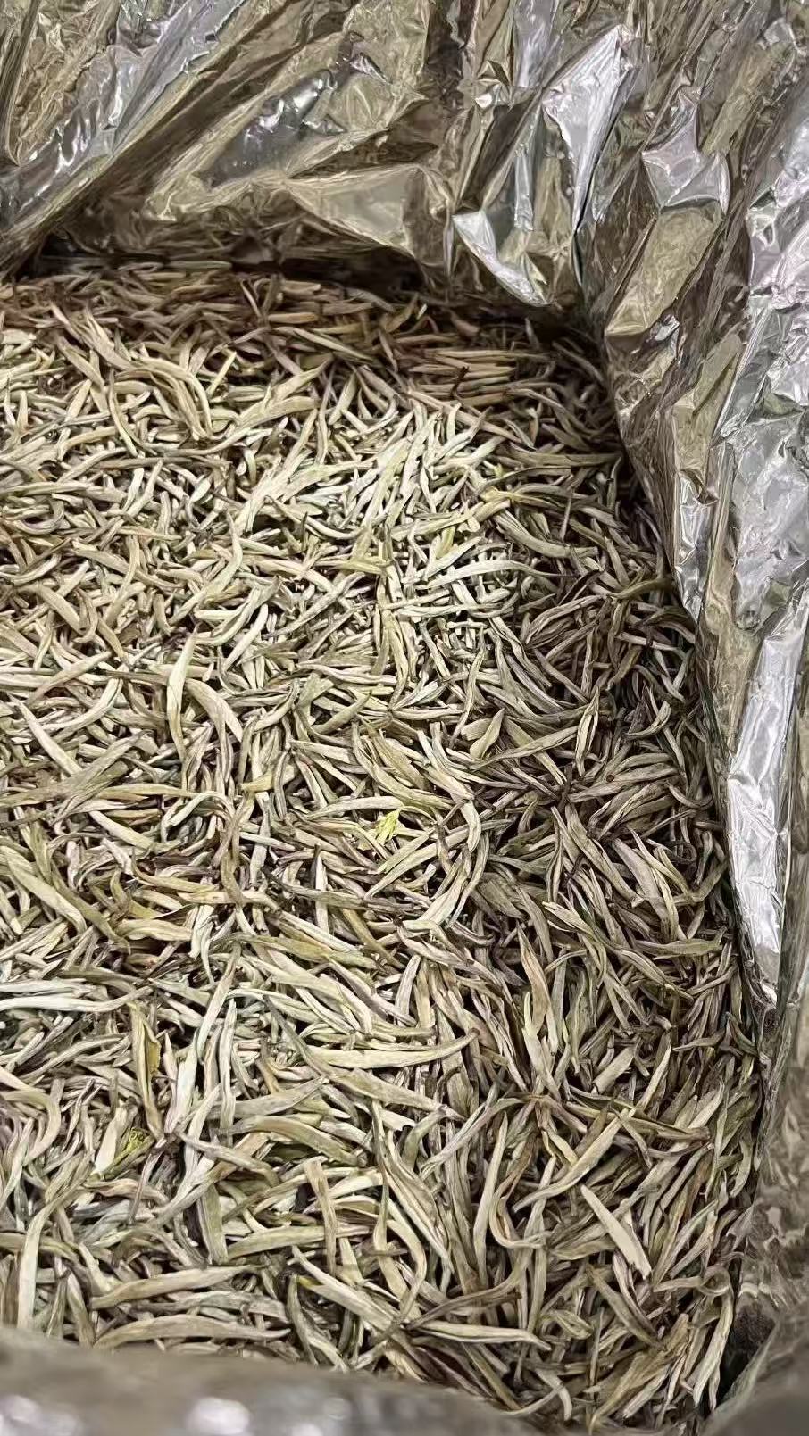 2025年茉莉花茶正宗茶王香气足耐泡