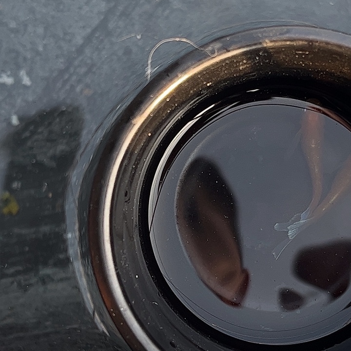 青鳉鱼真长赤壁 一对