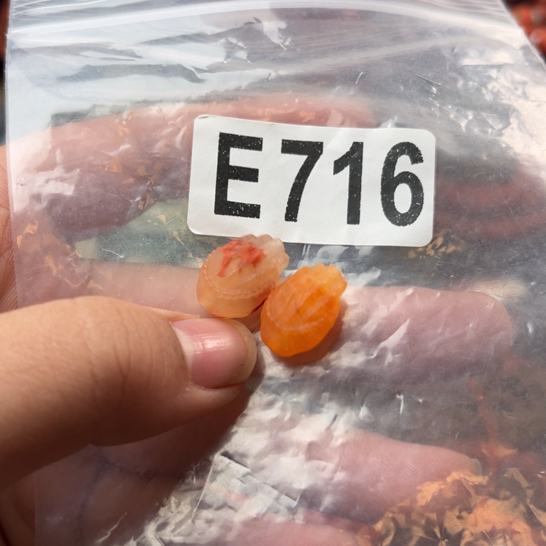 南红玛瑙未镶嵌珠宝奇石