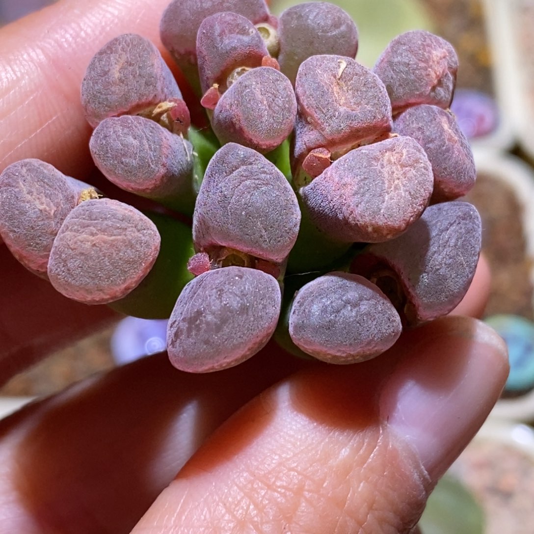 粉蛋糕粉蛋糕粉蛋糕粉蛋糕